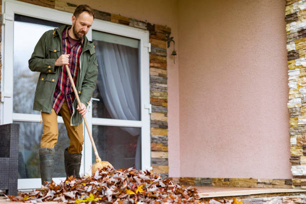 Professional Junk Removal in North Fork, CA